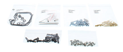 Bike Carburetor Rebuild Kit