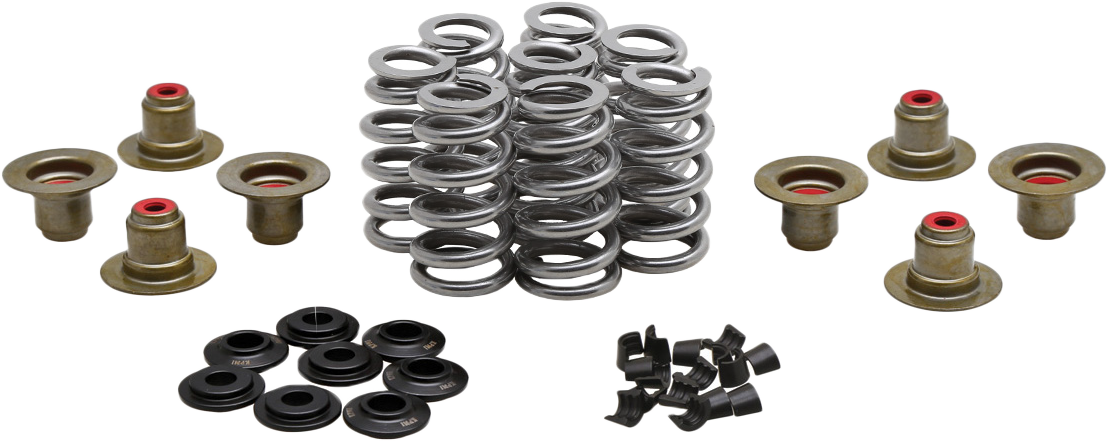 Beehive Valve Spring Kit .640 Lift  M8`17 24 Non Vvt