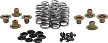 Beehive Valve Spring Kit .640 Lift  M8`17 24 Non Vvt