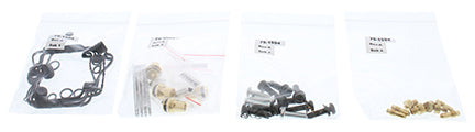 Bike Carburetor Rebuild Kit
