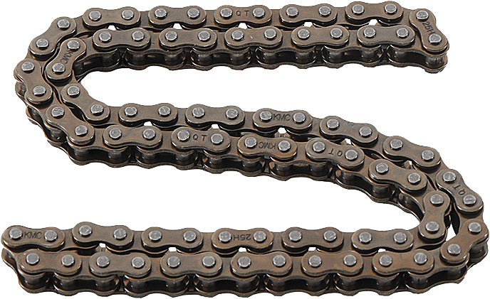 Cam Chain