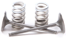 Intake Valve Conversion Set Ti Steel Kaw