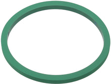 Fuel Pump Seal
