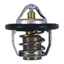 Thermostat W/Gasket