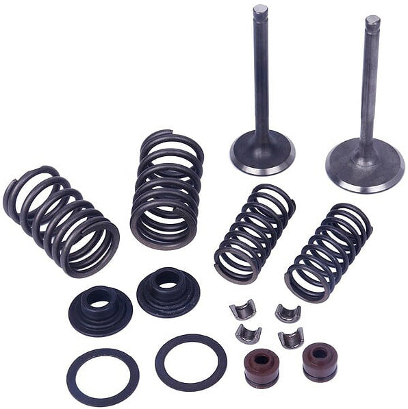 Valve Kit V 125/150