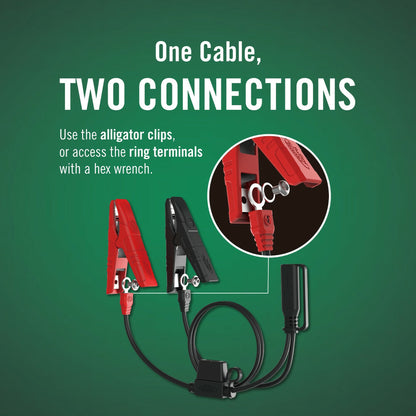 Selectable 4 Amp 6/12v Charger