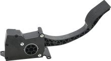 Ride By Wire Throttle Assy Pol