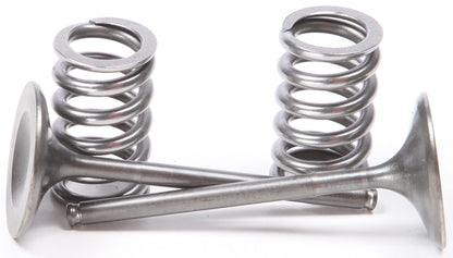 Intake Valve Conversion Set Ti Steel Hon