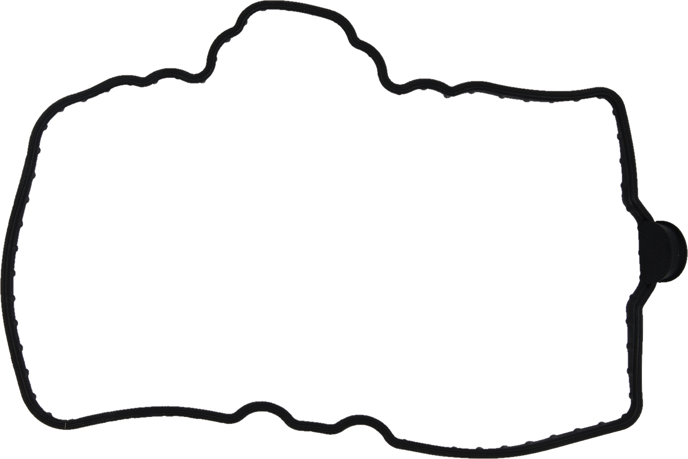 Valve Cover Gasket Pol