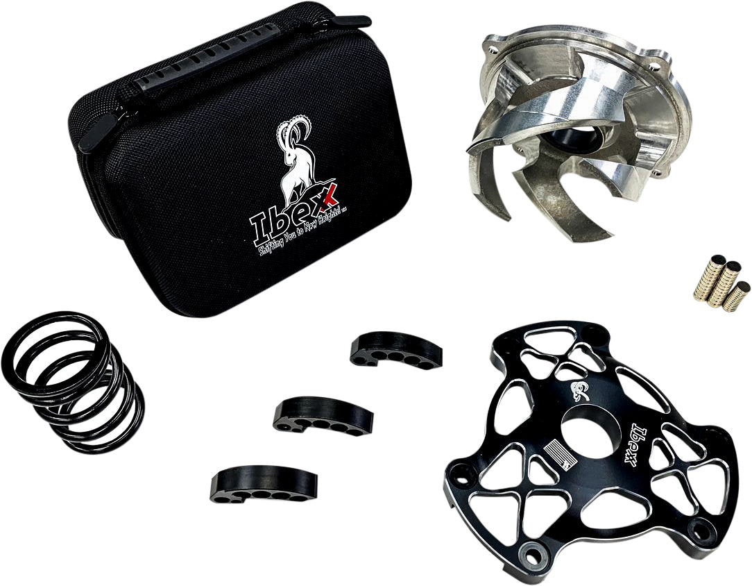 Clutch Kit Axys 850 Stage 2+