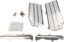 Radiator Guard Kawasaki Natural
