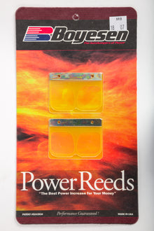 Motorcycle Reeds