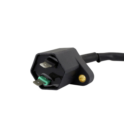 External Ignition Coil