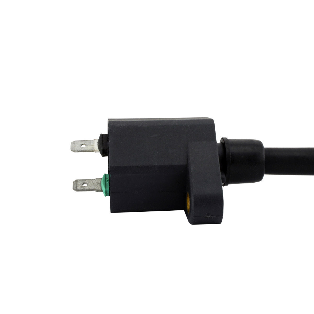 External Ignition Coil