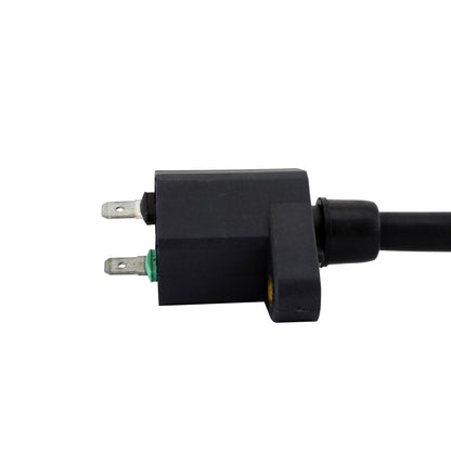 External Ignition Coil