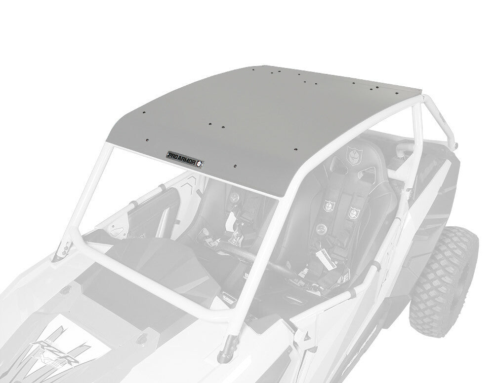 Asylum Roof Titanium Matte Metallic