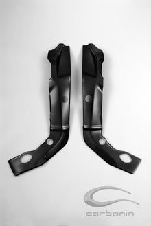 CARBONIN CARBON FIBER FRAME PROTECTORS FOR BMW S1000RR (2012-14)