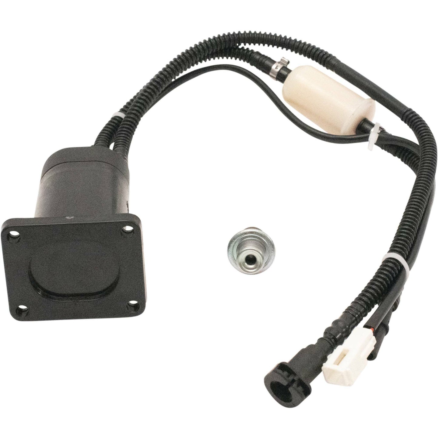 Fuel Pump Assembly