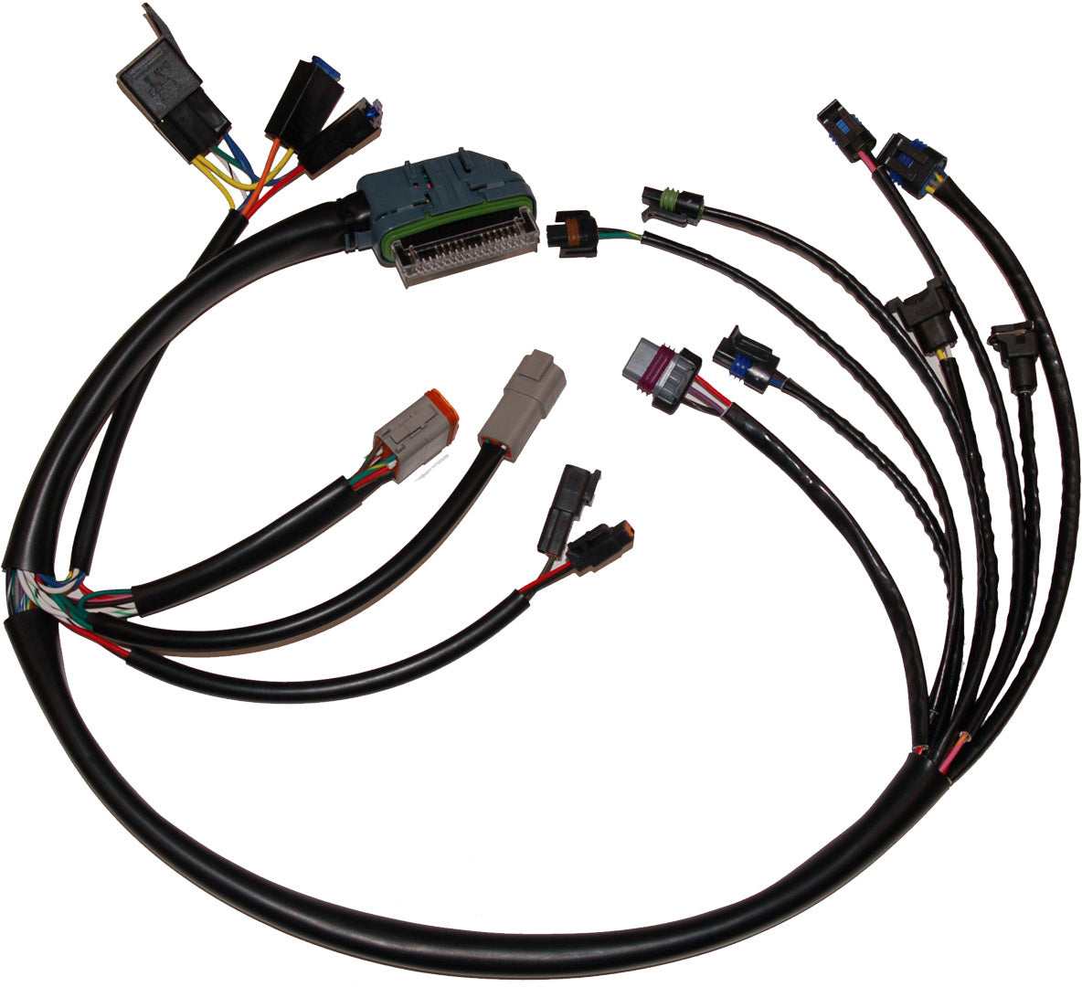 Complete Efi Harness 02 03