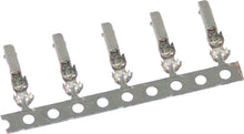 Mx 1900 Female Terminals 25 Pk Hd 72910 11 & 69200308