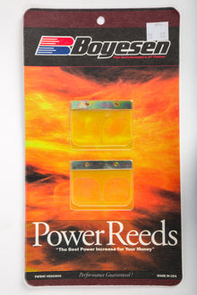 Motorcycle Reeds
