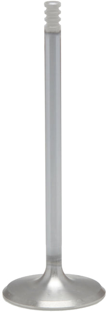 White Diamond Intake Valve M8 1.571 Std