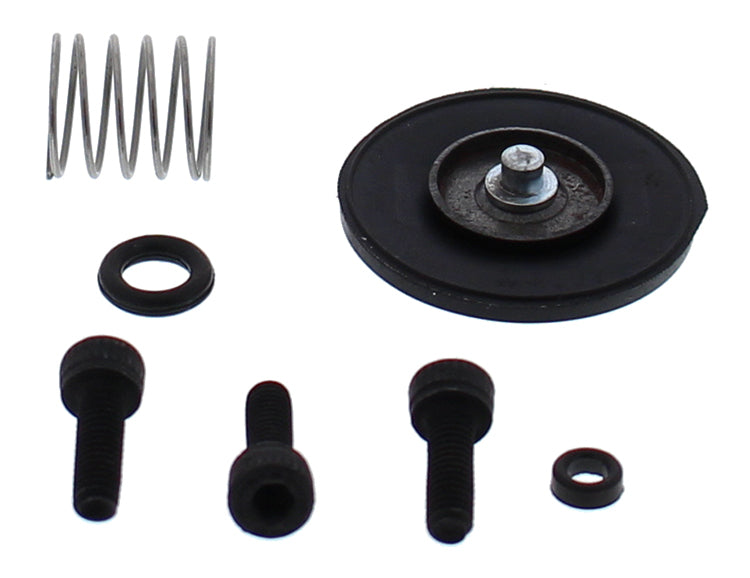 Accel. Pump Rebuild Kit