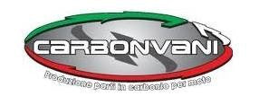 CARBONVANI - DUCATI 899 PANIGALE CARBON FIBER TRIANGULAR HEAT SHIELDS (PAIR) FOR ORIGNAL TERMI FULL AND SLIP ONS