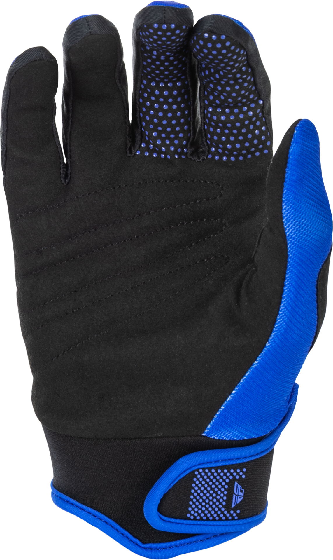 Youth F 16 Gloves Blue/White Y3xs