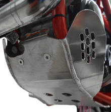 Skidplate Beta