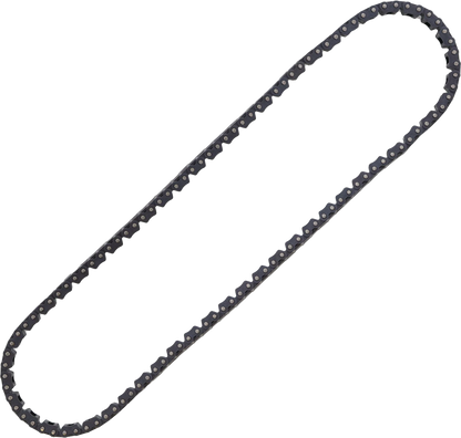 Cam Chain