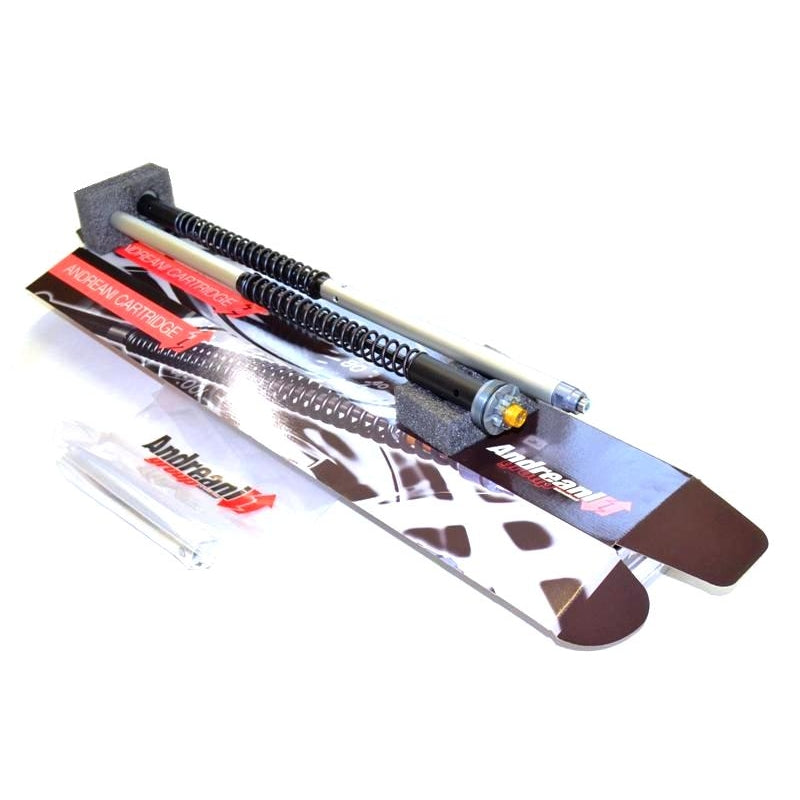 Ducabike Andreani 20mm Fork Cartridge Kit for Ducati Monster 696 with Showa Forks