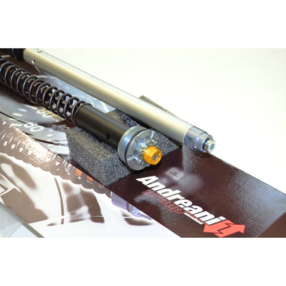 Ducabike Andreani 20mm Fork Cartridge Kit for Ducati Hypermotard 821