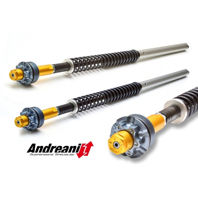 Ducabike Andreani 20mm Fork Cartridge Kit for Ducati Scrambler with Marzocchi Forks