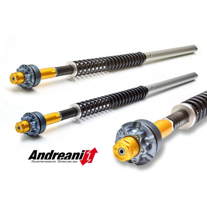 Ducabike Andreani 20mm Fork Cartridge Kit for Ducati Hypermotard 821