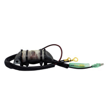 Stator Source Coil