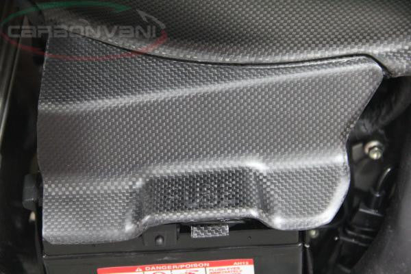 CARBONVANI - DUCATI 959 PANIGALE FUSE AND BATTERY GUARD