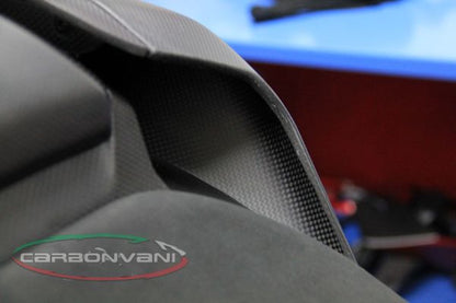 CARBONVANI - DUCATI 1299 PANIGALE TAIL LH SIDE