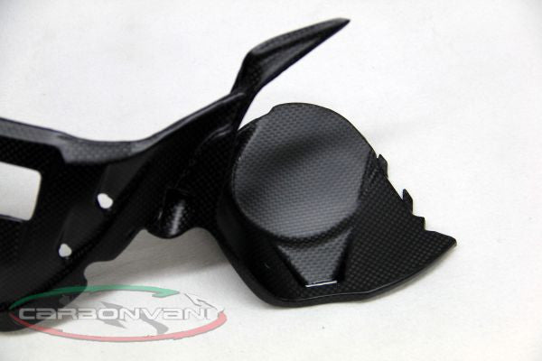 CARBONVANI - DUCATI 959 PANIGALE CARBON FIBER INSTRUMENT COVER