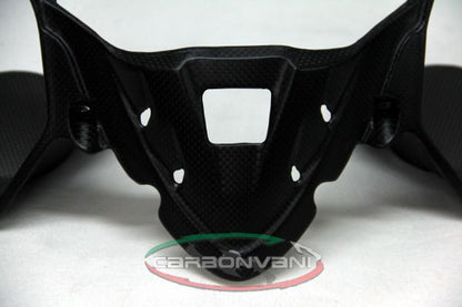 CARBONVANI - DUCATI 959 PANIGALE CARBON FIBER INSTRUMENT COVER