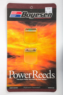 Motorcycle Reeds