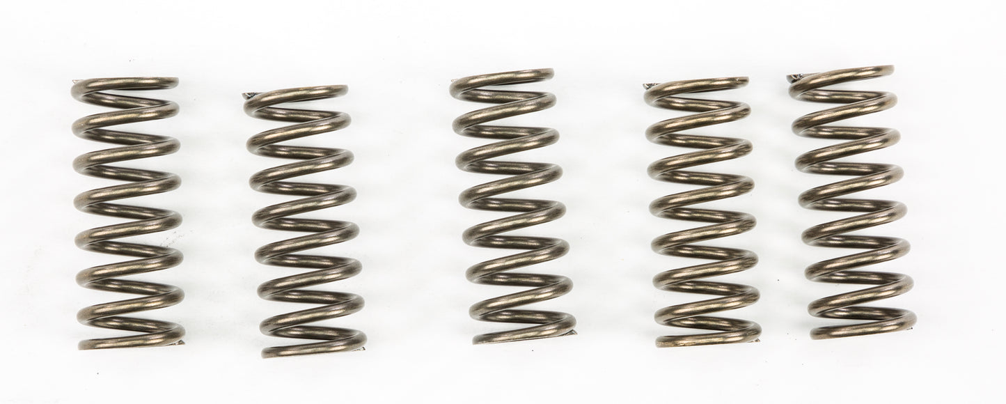 Clutch Springs Csk249