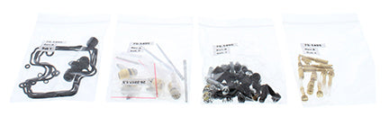 Bike Carburetor Rebuild Kit