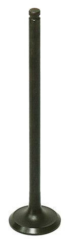 Exhaust Valve
