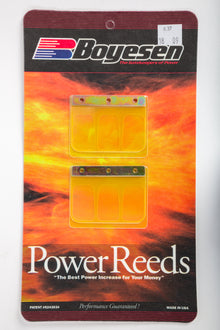 Motorcycle Reeds