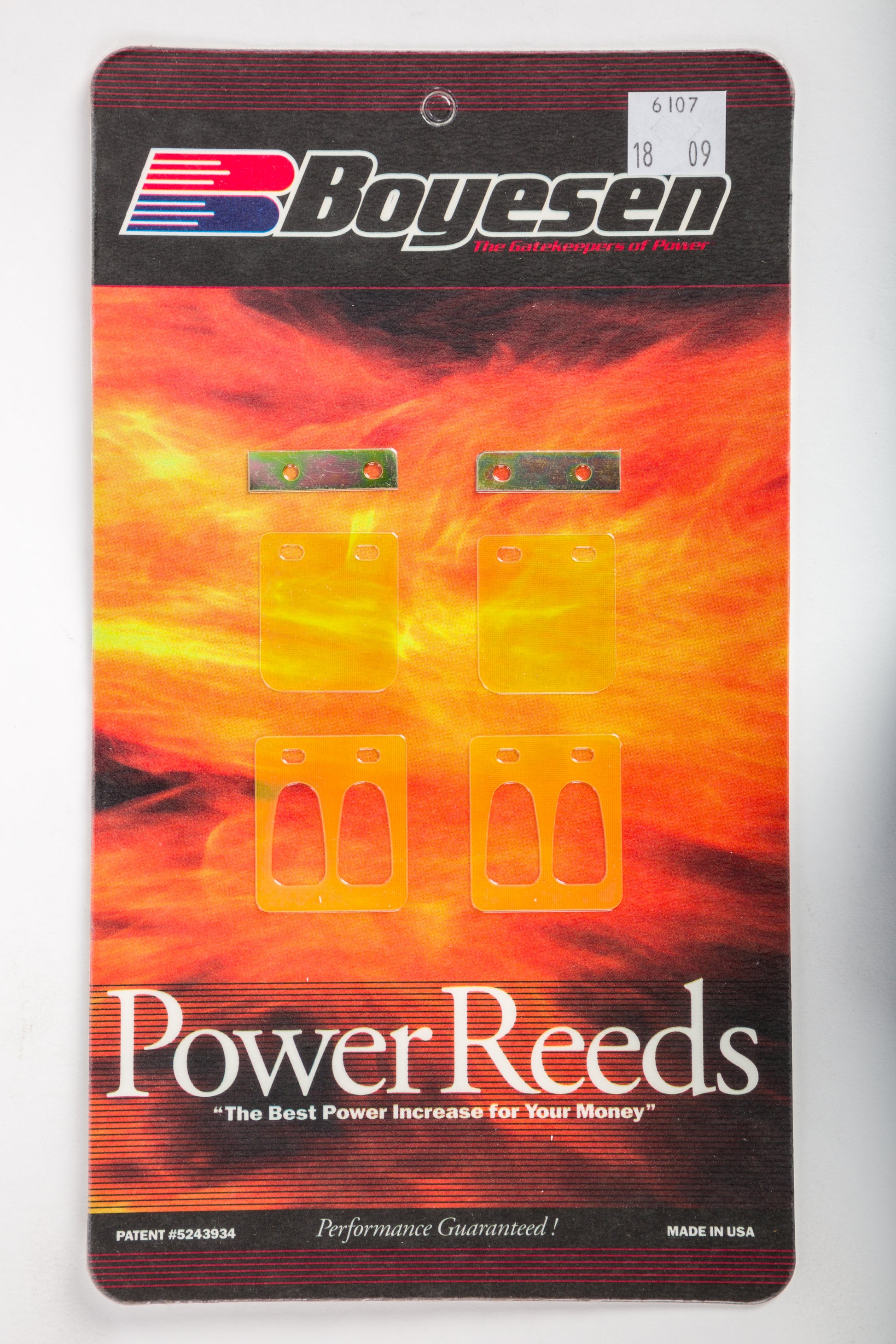 Motorcycle Reeds