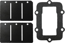 Reed Valve Rebuild Kit S D