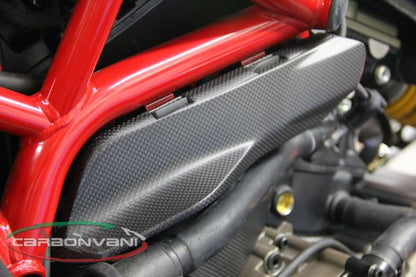 CARBONVANI - DUCATI MONSTER 821 / 1200 CARBON FIBER LH UPPER ENGINE PANEL
