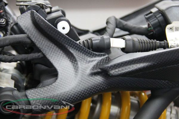 CARBONVANI - DUCATI MONSTER 821 / 1200 CARBON FIBER FRAME KIT (2 PIECES)