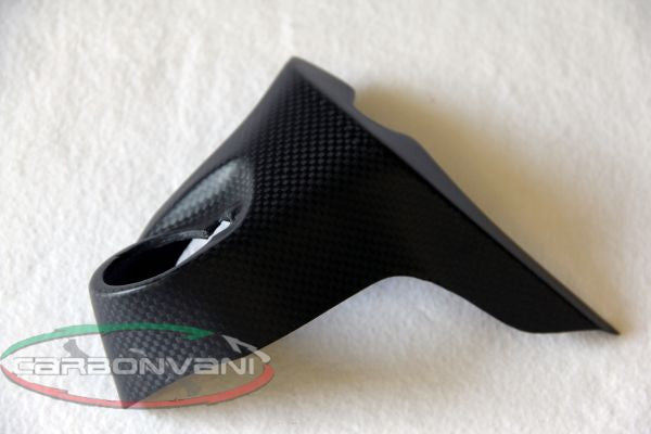 CARBONVANI - DUCATI MONSTER 821 / 1200 CARBON FIBER WATER COOLER CAP PROTECTION